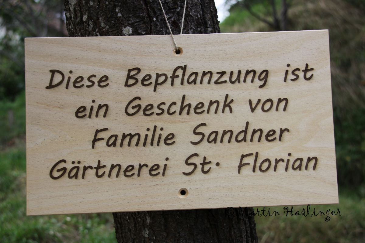 Wandbild